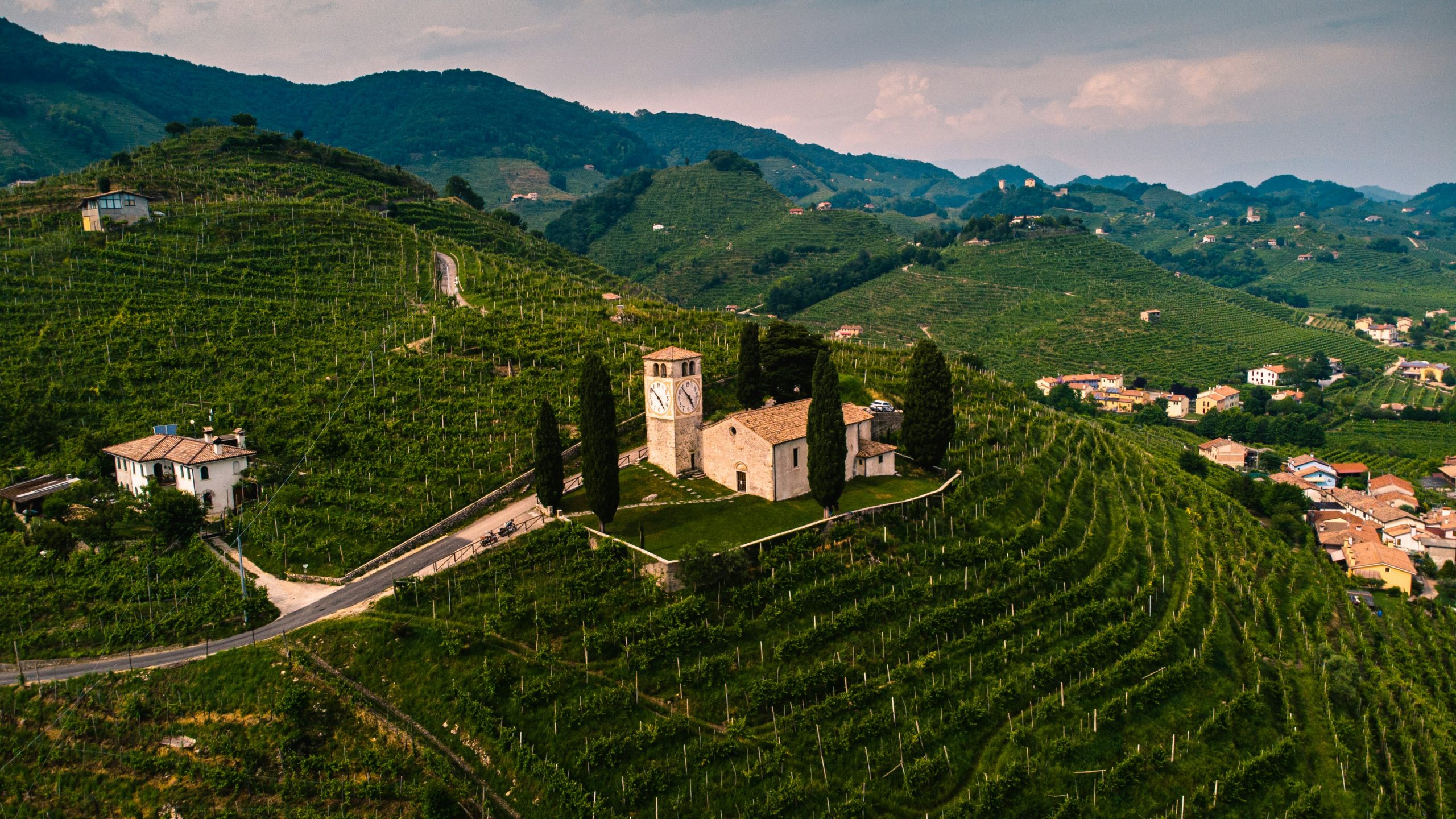 Stage 13: A hilly stage and another white wine recipe