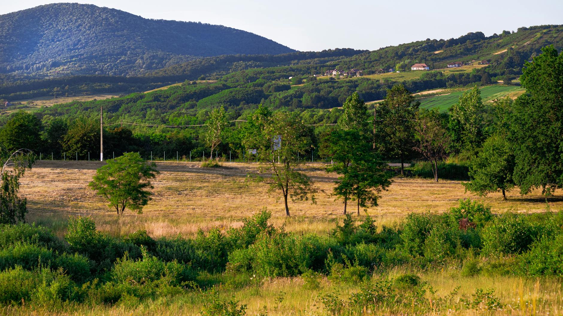 scenic view of a countryside with green trees and mountains in summer