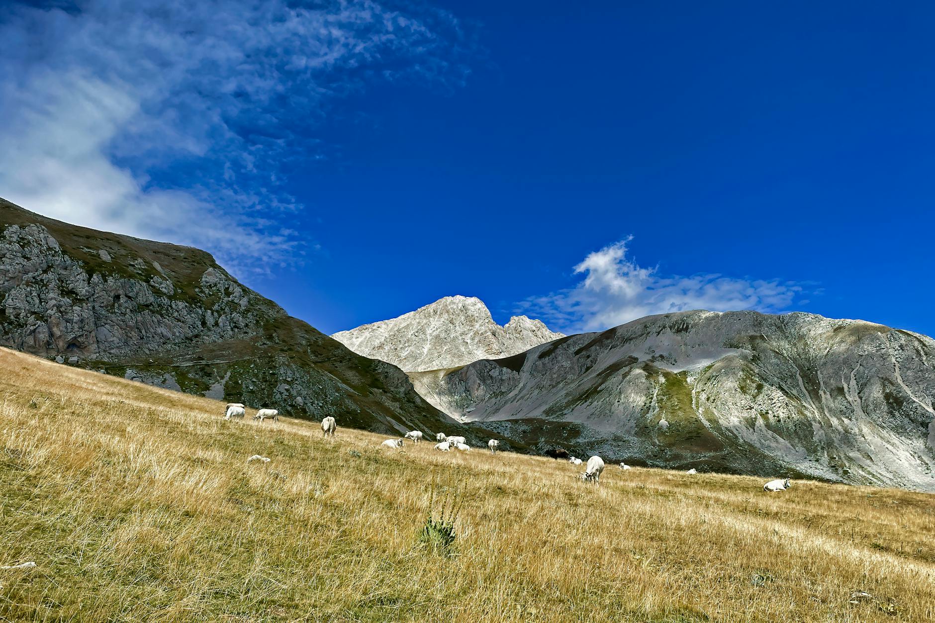 GC Action in Italy: Stages 7-9